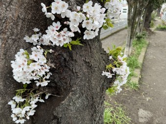 e42d5b66d7ee328606fb6cc9f3cca01e1